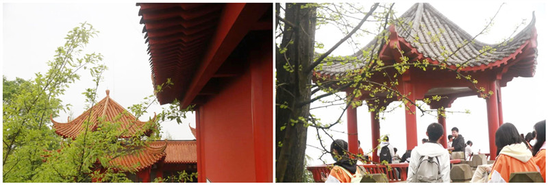 微信图片_20210426151410_副本.jpg